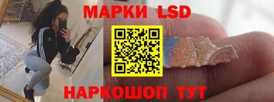 дмт Краснодар