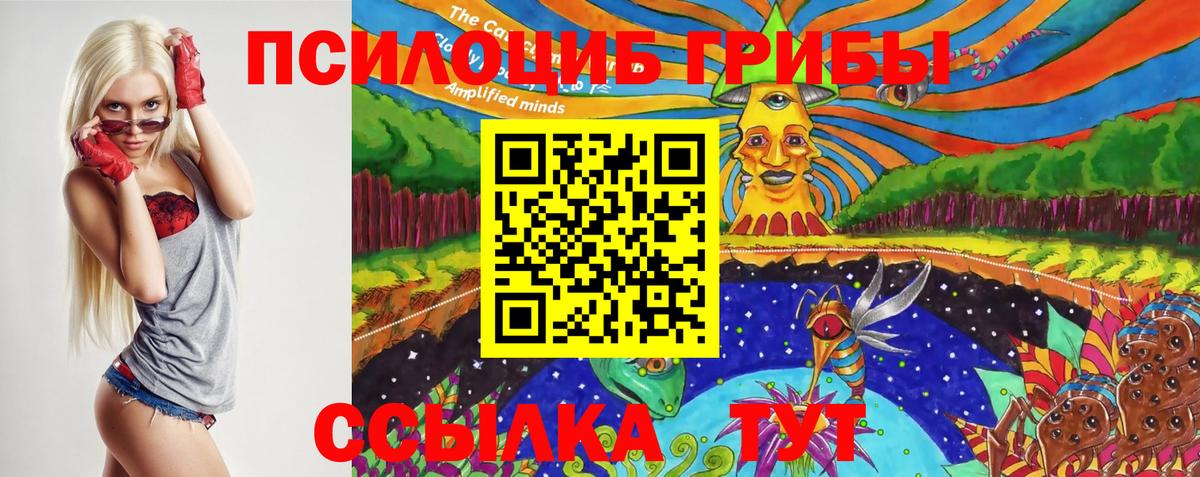 Галлюциногенные грибы мицелий Кизляр