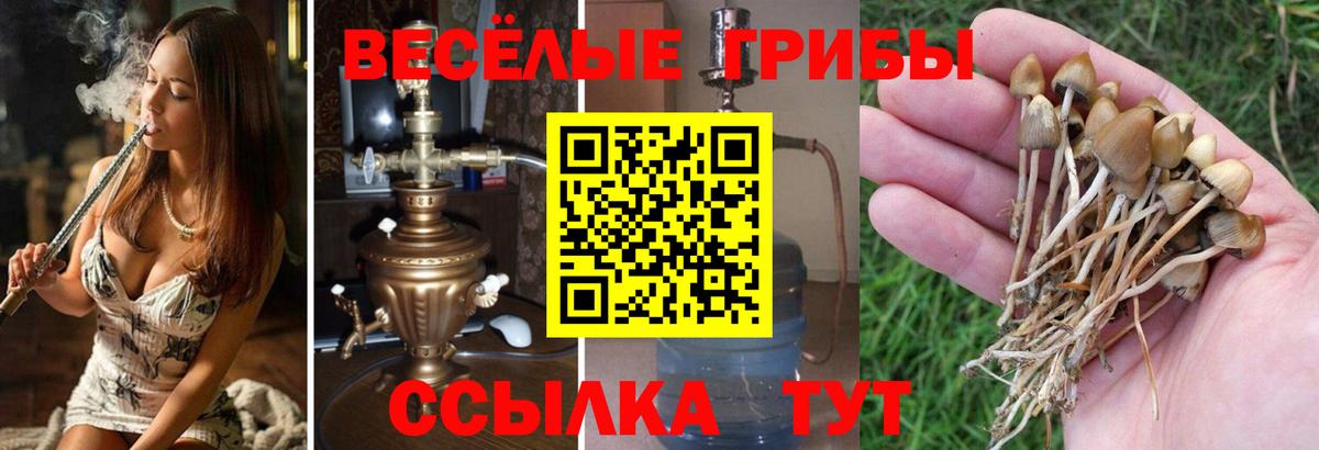 Галлюциногенные грибы мухоморы  Вход с VPN  Кизляр 